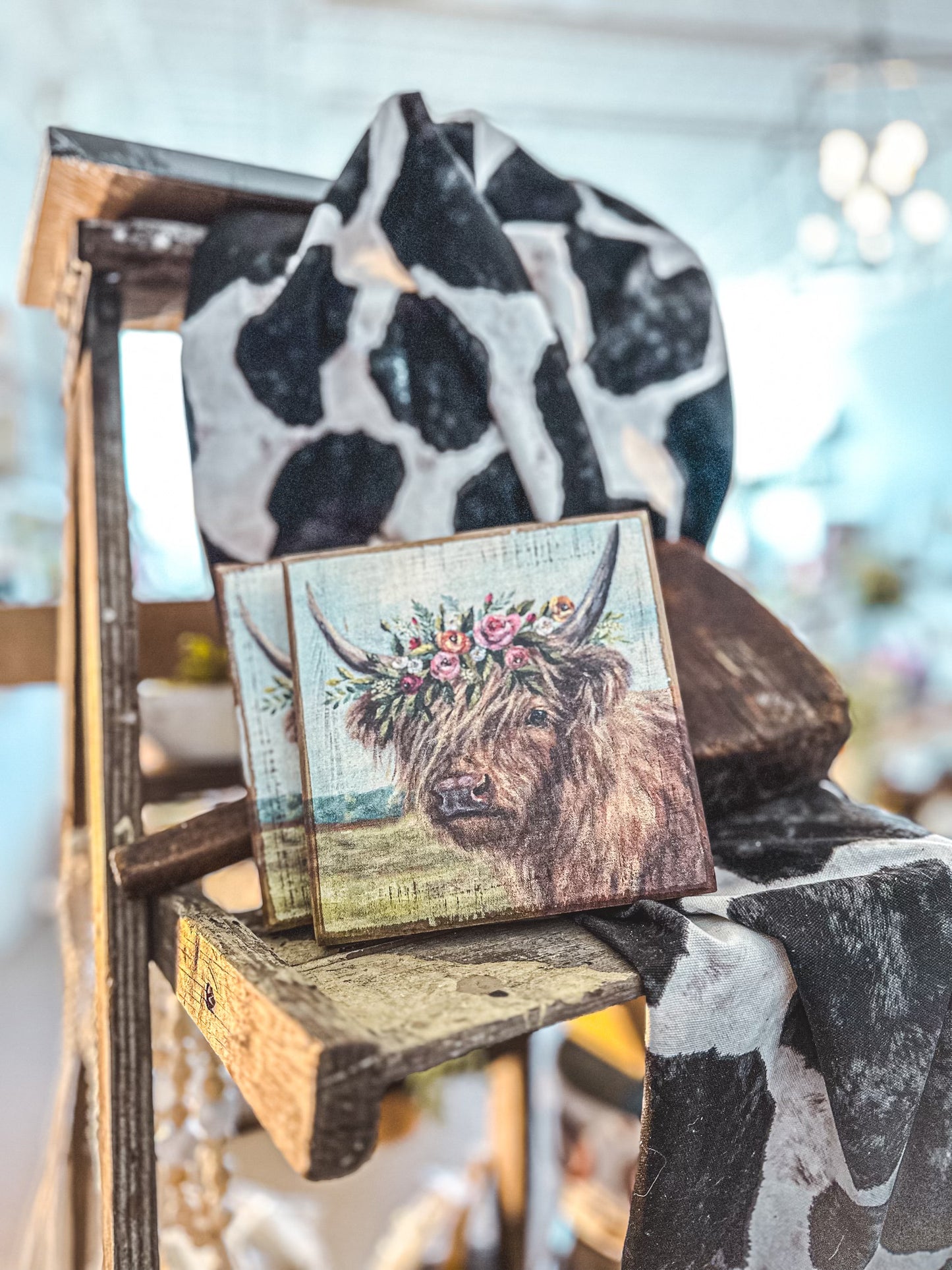 highland shelf sitter