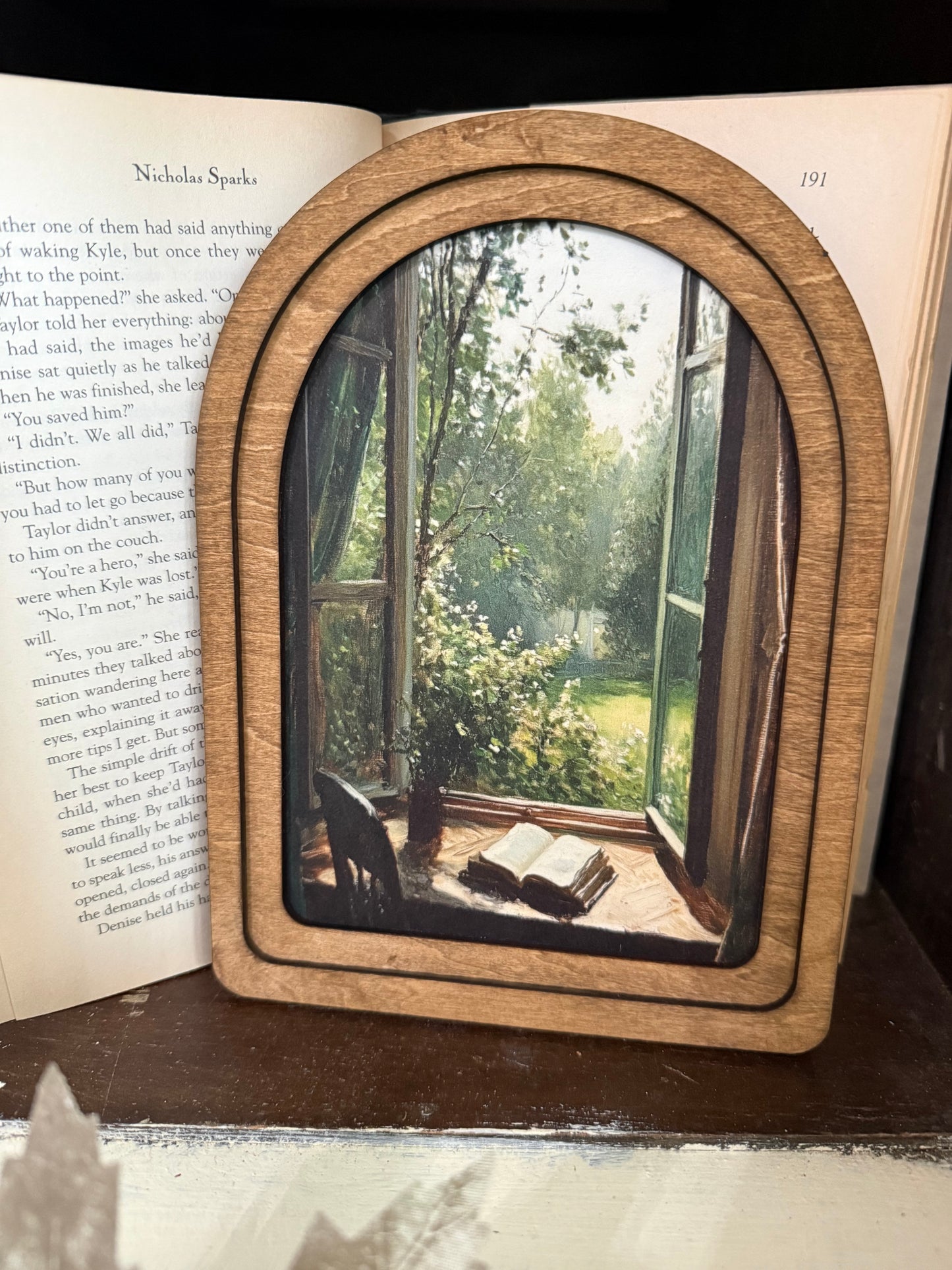 Book Lover Canvas Prints