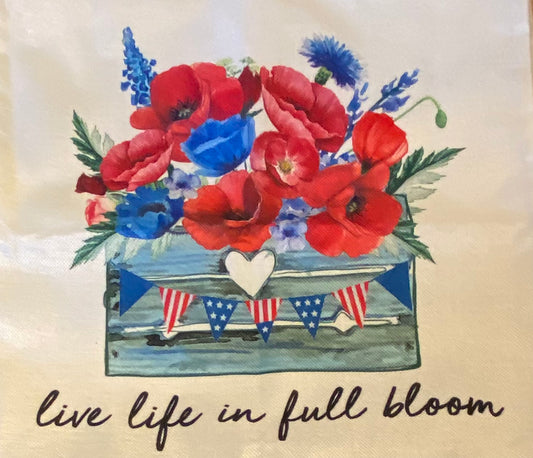 4th of July Pillow Cases
